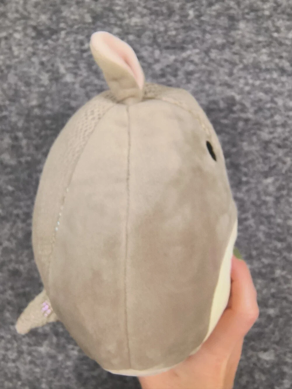 Thompson the Armadillo Forever Edition Squishmallow 8